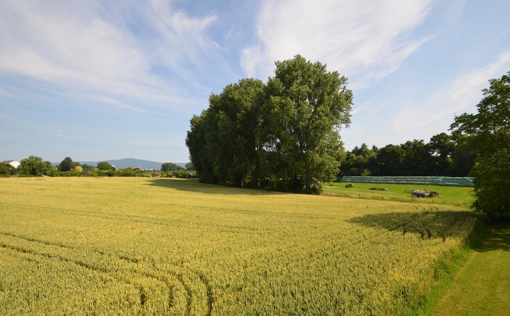 Landhotel Sulzbacher Hof Sulzbach  Eksteriør bilde